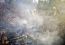 Llamamiento a los propietarios de solares para mantener limpias sus parcelas y evitar incendios