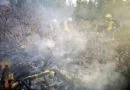 Llamamiento a los propietarios de solares para mantener limpias sus parcelas y evitar incendios