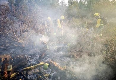 Llamamiento a los propietarios de solares para mantener limpias sus parcelas y evitar incendios