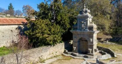 Visita guiada para denunciar las «chapuzas» realizadas en El Bosque desde 2002 Visita guiada para denunciar las «chapuzas» realizadas en El Bosque desde 2002