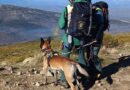 Reactivan un nuevo operativo para la búsqueda del montañero desaparecido en la Sierra de Béjar el año pasado
