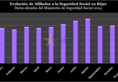 GRÁFICOS | Béjar concluye noviembre con 17 afiliados menos a la Seguridad Social