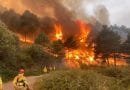 Castilla y León activa la alerta por alto riesgo de incendios forestales ante un episodio de calor extremo