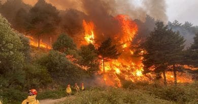 Castilla y León activa la alerta por alto riesgo de incendios forestales ante un episodio de calor extremo Castilla y León activa la alerta por alto riesgo de incendios forestales ante un episodio de calor extremo