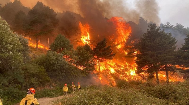 Castilla y León activa la alerta por alto riesgo de incendios forestales ante un episodio de calor extremo
