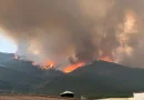 Ampliada la situación de alerta por riesgo de incendios forestales