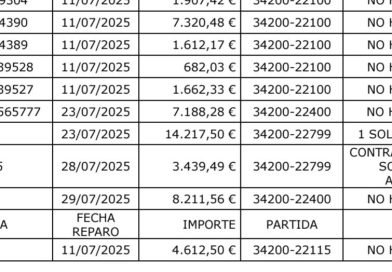 García y Dorado (N/A) exigen llevar ya a los tribunales las facturas irregulares aprobadas por el equipo de Martín (PP)