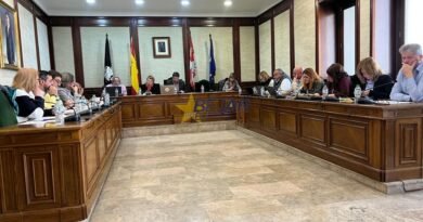 VÍDEO | Béjar vive un pleno maratoniano marcado por la sanidad y la A-66 VÍDEO | Béjar vive un pleno maratoniano marcado por la sanidad y la A-66