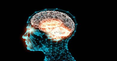 Neurociencia en Béjar: El «hackeo» del bienestar