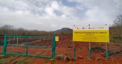 El Cabaco se convierte en el epicentro tecnológico para blindar el futuro del castaño