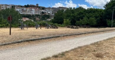 IMÁGENES | Avanzan las labores de desbroce y mantenimiento en distintos puntos de Béjar