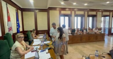 VÍDEOS | Jennifer del Pozo (PSOE) toma posesión como nueva edil en un pleno con amplios consensos