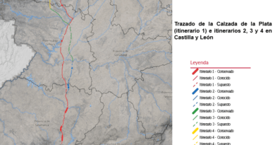 Se inicia la protección de la Calzada de la Plata como BIC en la categoría de Vía Histórica