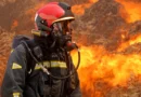 Incendio forestal en Colmenar de Montemayor, controlado tras la intervención de un amplio operativo