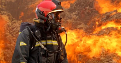 Incendio forestal en Colmenar de Montemayor, controlado tras la intervención de un amplio operativo Incendio forestal en Colmenar de Montemayor, controlado tras la intervención de un amplio operativo