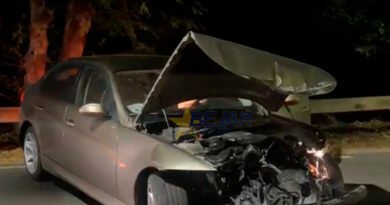 Salida de vía en la carretera de El Castañar con un joven herido