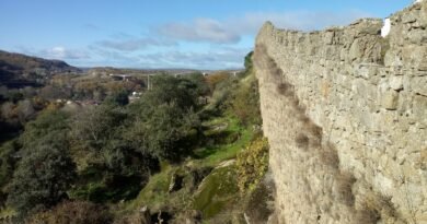 IMÁGENES | UPL exige a la Junta que cumpla su compromiso con La Muralla de Béjar