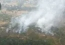[ACTUALIZADO] Incendio forestal en La Hoya
