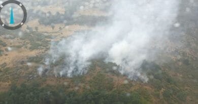 Incendio forestal en La Hoya