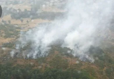 [ACTUALIZADO] Incendio forestal en La Hoya
