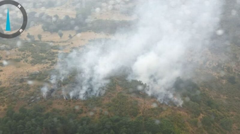 Incendio forestal en La Hoya