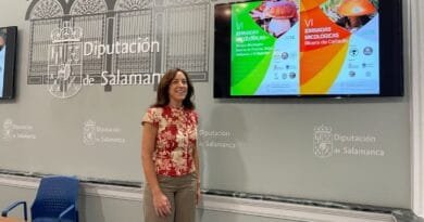 La comarca de Béjar concentra cuatro citas micológicas este otoño